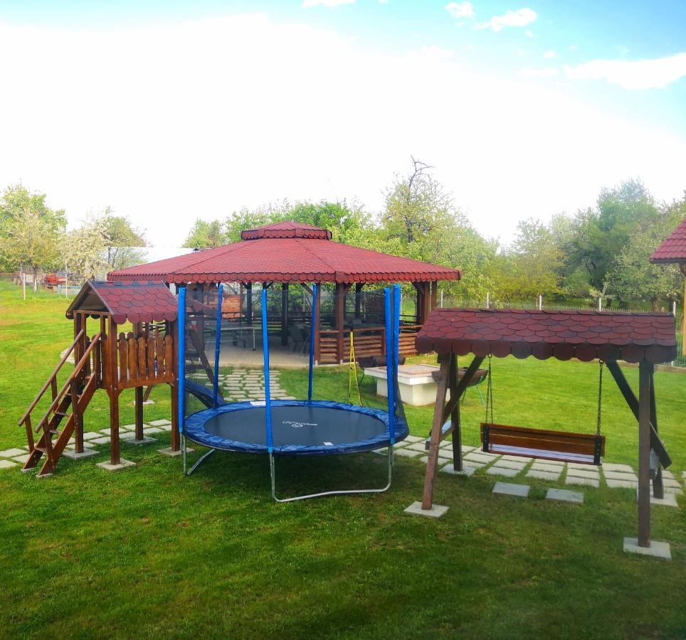 Pensiunea Casa Hortopan Târgu Jiu Dış mekan fotoğraf